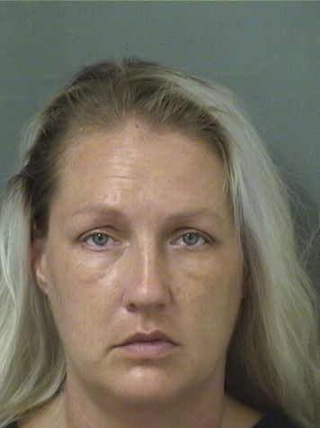  KELSEY ELISABETH ORFE Results from Palm Beach County Florida for  KELSEY ELISABETH ORFE