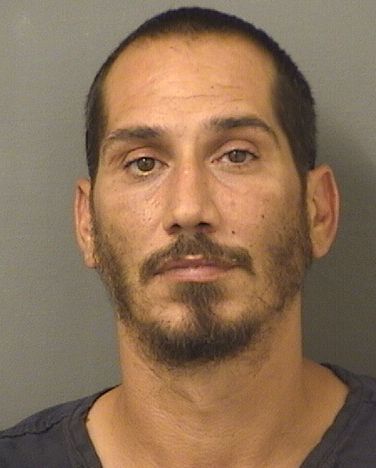  MICHAEL MANUEL MARCEL Results from Palm Beach County Florida for  MICHAEL MANUEL MARCEL