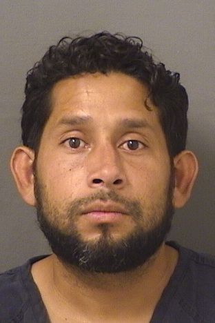  EDDY JOSE MARTINEZMATAMOROS Results from Palm Beach County Florida for  EDDY JOSE MARTINEZMATAMOROS