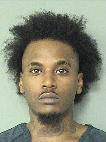  DEMETRIUS ROBINSON Results from Palm Beach County Florida for  DEMETRIUS ROBINSON