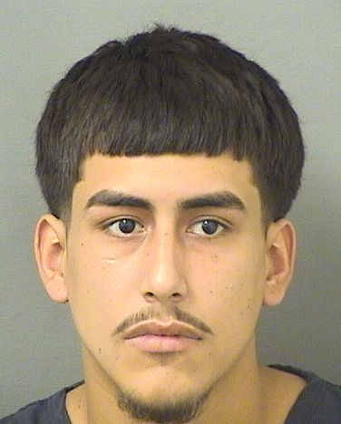  SAGE CHRISTOPHER SCHUSTER Photo For  SAGE CHRISTOPHER SCHUSTER