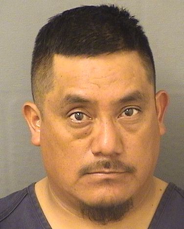  JULIO GASPARMATIAS Results from Palm Beach County Florida for  JULIO GASPARMATIAS