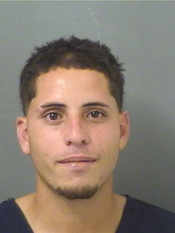  HANSEL HERNANDEZNAPOLES Resultados de la busqueda para Palm Beach County Florida para  HANSEL HERNANDEZNAPOLES