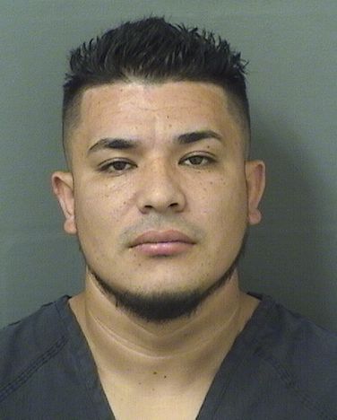  EDIN SAMUEL SANTOSNAJERA Results from Palm Beach County Florida for  EDIN SAMUEL SANTOSNAJERA