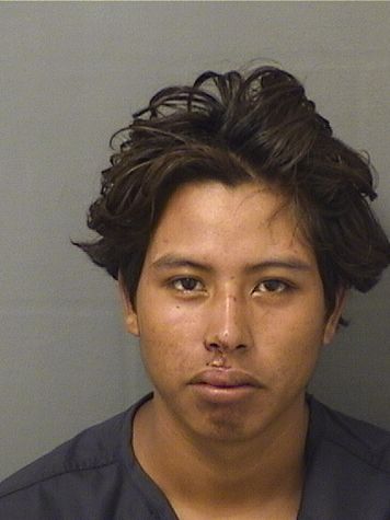  MIGUEL FRANCISCOJIMENEZ Photo For  MIGUEL FRANCISCOJIMENEZ