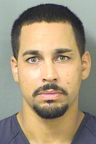  ROBERT REYES Results from Palm Beach County Florida for  ROBERT REYES