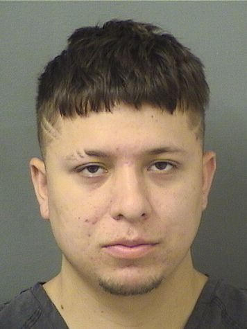  NICOLAS CASTELLANOS Results from Palm Beach County Florida for  NICOLAS CASTELLANOS