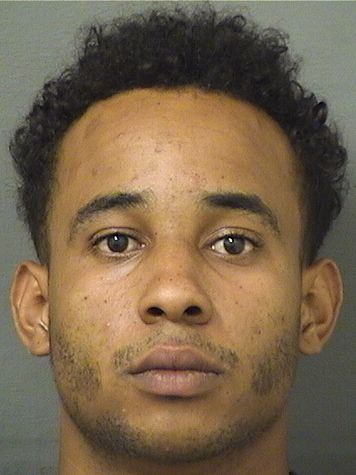  YOEL DAVID ADINAS Results from Palm Beach County Florida for  YOEL DAVID ADINAS