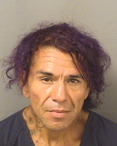  JUAN FRANCISCO Jr HERNANDEZ Resultados de la busqueda para Palm Beach County Florida para  JUAN FRANCISCO Jr HERNANDEZ