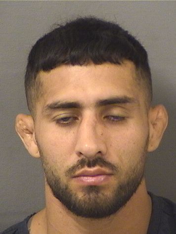  JUAN C PUERTASALAZAR Results from Palm Beach County Florida for  JUAN C PUERTASALAZAR