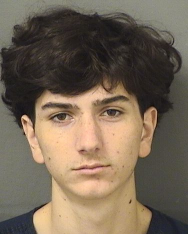  ALEXANDER JAMES MALDONADO Results from Palm Beach County Florida for  ALEXANDER JAMES MALDONADO