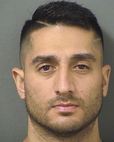  MICHAEL BERNARD KALIN Results from Palm Beach County Florida for  MICHAEL BERNARD KALIN