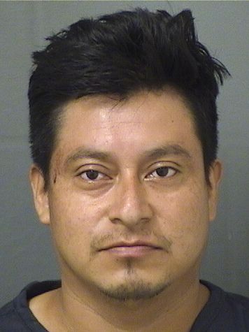  MIGUEL ANGEL VELASQUEZMORALES Photo For  MIGUEL ANGEL VELASQUEZMORALES