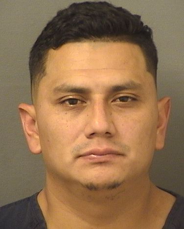  MAX J RODRIGUEZGARCIA Results from Palm Beach County Florida for  MAX J RODRIGUEZGARCIA