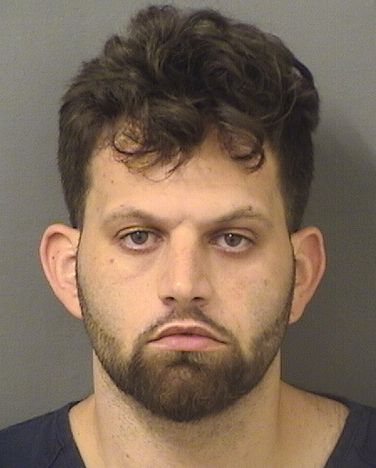  MICHAEL ALFONSO APREA Results from Palm Beach County Florida for  MICHAEL ALFONSO APREA