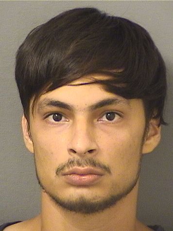  JOHNNY ALBERTO CORTEZWILLIAMS Results from Palm Beach County Florida for  JOHNNY ALBERTO CORTEZWILLIAMS