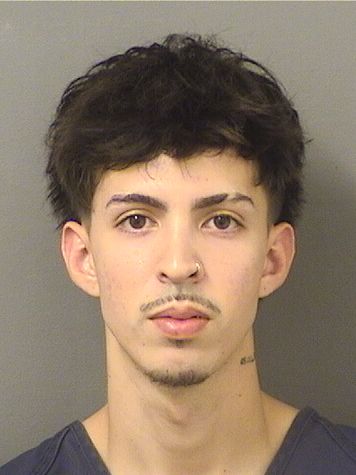  SEBASTIAN DIDIER FRUTOSMELGAREJO Resultados de la busqueda para Palm Beach County Florida para  SEBASTIAN DIDIER FRUTOSMELGAREJO