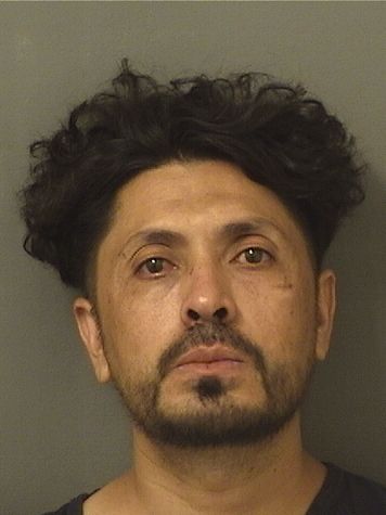  RUDY LEONEL FLORESJIMENEZ Results from Palm Beach County Florida for  RUDY LEONEL FLORESJIMENEZ