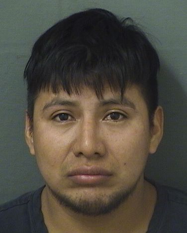  ROMELIO MISAEL GONZALEZ Resultados de la busqueda para Palm Beach County Florida para  ROMELIO MISAEL GONZALEZ