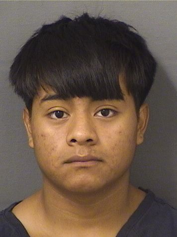  GASPAR JUAN MARCOS Results from Palm Beach County Florida for  GASPAR JUAN MARCOS