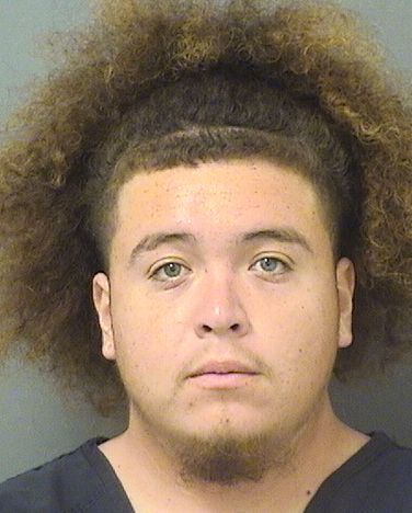  ANTHONY ROMERO Results from Palm Beach County Florida for  ANTHONY ROMERO