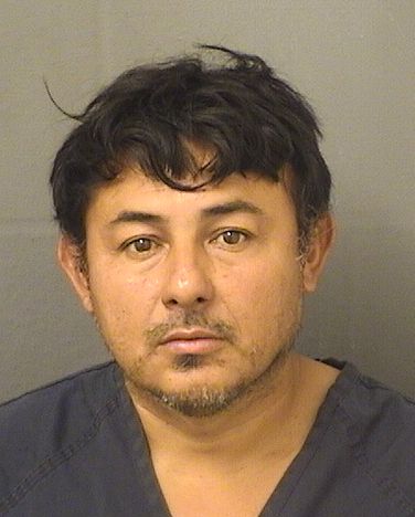  WILMER OMAR CASTRO Photo For  WILMER OMAR CASTRO