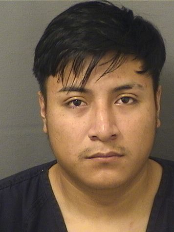  DANILO ELISEO BARRIOSVELASQUEZ Results from Palm Beach County Florida for  DANILO ELISEO BARRIOSVELASQUEZ