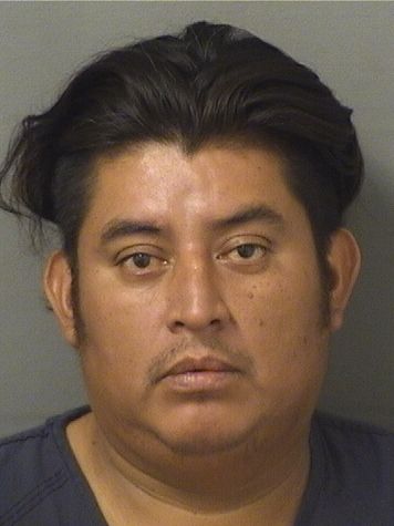 SERGIO R RUIZCELSO Photos For  SERGIO R RUIZCELSO  SERGIO R RUIZCELSO Photo For  SERGIO R RUIZCELSO