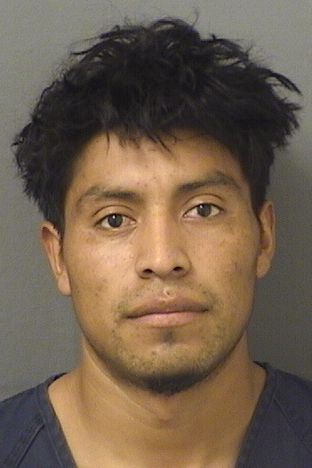 ADAIN DIAZLOPEZ Photos For  ADAIN DIAZLOPEZ  ADAIN DIAZLOPEZ Photo For  ADAIN DIAZLOPEZ