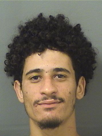  BRAYAN MANUEL CAPELLANPAULINO Results from Palm Beach County Florida for  BRAYAN MANUEL CAPELLANPAULINO