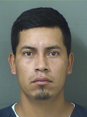  MILTON AROLDO MATEOCAJBON Resultados de la busqueda para Palm Beach County Florida para  MILTON AROLDO MATEOCAJBON