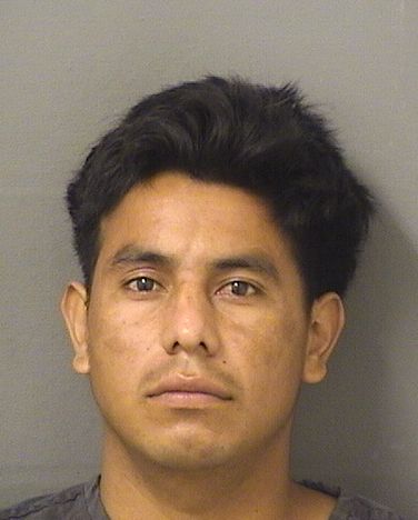  HUGO LEONEL LOPEZORTIZ Resultados de la busqueda para Palm Beach County Florida para  HUGO LEONEL LOPEZORTIZ