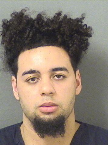  MICHAEL GABRIEL ROSASOLANO Results from Palm Beach County Florida for  MICHAEL GABRIEL ROSASOLANO