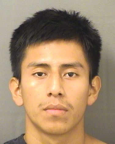  DOMINGO IXQUIACTAP TAMBRIZ Results from Palm Beach County Florida for  DOMINGO IXQUIACTAP TAMBRIZ