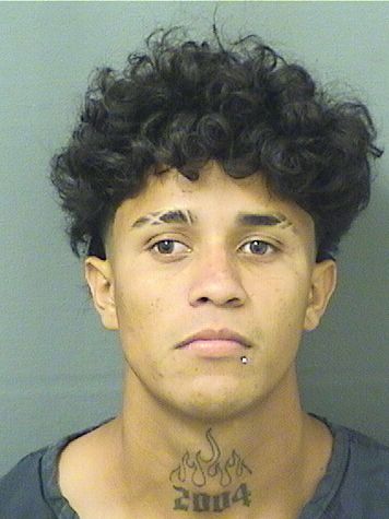  GREGORIE ANTONIO FIGUEROABERTRAND Resultados de la busqueda para Palm Beach County Florida para  GREGORIE ANTONIO FIGUEROABERTRAND