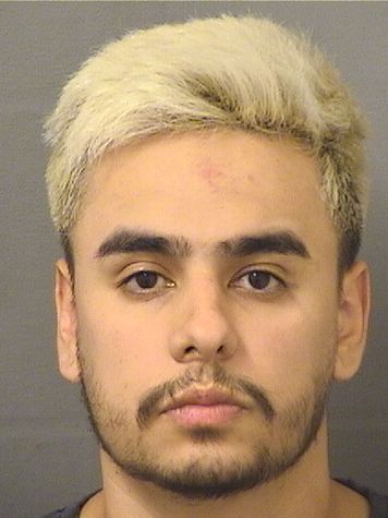  BRAYAN STIBEN HERRERAROJAS Resultados de la busqueda para Palm Beach County Florida para  BRAYAN STIBEN HERRERAROJAS