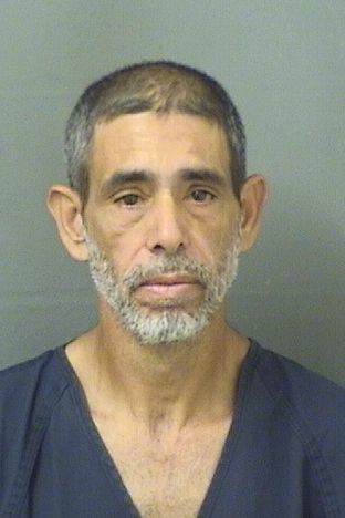  JOSE LUIS PENA Results from Palm Beach County Florida for  JOSE LUIS PENA