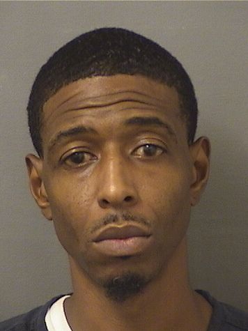  BRYN DALEY Results from Palm Beach County Florida for  BRYN DALEY