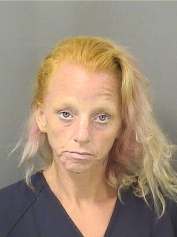  CARRI ANNE NEVAD Results from Palm Beach County Florida for  CARRI ANNE NEVAD