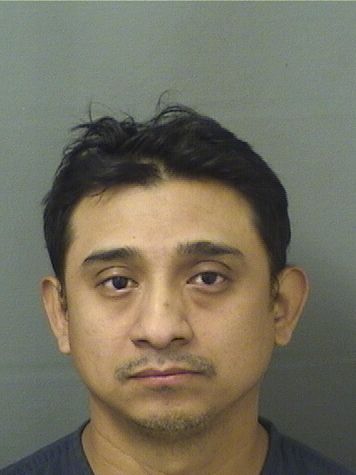  EMILIANO CABNOH Results from Palm Beach County Florida for  EMILIANO CABNOH