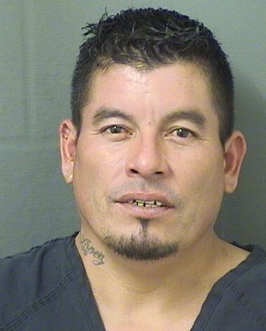  OSBERTO RENE SOTOJUAREZ Results from Palm Beach County Florida for  OSBERTO RENE SOTOJUAREZ