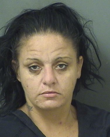  MELISSA MARIE FAZZINO Results from Palm Beach County Florida for  MELISSA MARIE FAZZINO