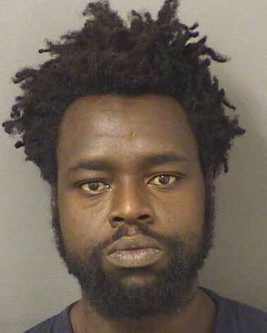  PIERRE DAVID LAURORE Results from Palm Beach County Florida for  PIERRE DAVID LAURORE