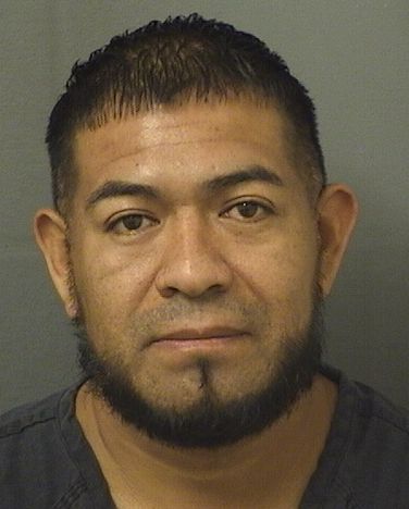  MARIO BAJANXAR Results from Palm Beach County Florida for  MARIO BAJANXAR