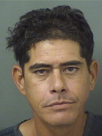  ALAIN MONTERO LAVALETT Resultados de la busqueda para Palm Beach County Florida para  ALAIN MONTERO LAVALETT