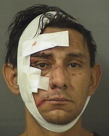  ABNER ESAU CRUZ Results from Palm Beach County Florida for  ABNER ESAU CRUZ