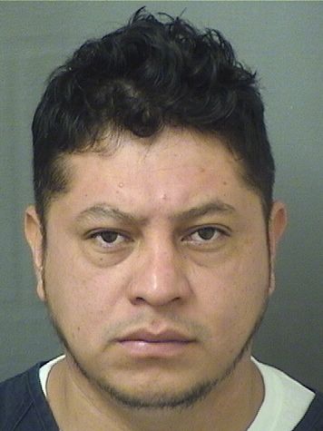  GADIEL SALASGONZALEZ Resultados de la busqueda para Palm Beach County Florida para  GADIEL SALASGONZALEZ