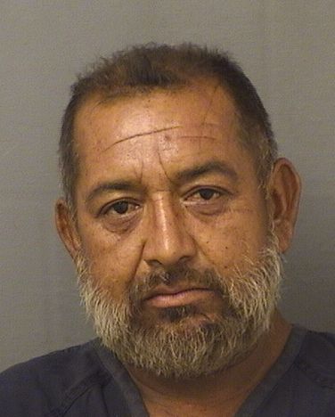 NOEL RAMIREZOLIVERA Photos For  NOEL RAMIREZOLIVERA  NOEL RAMIREZOLIVERA Photo For  NOEL RAMIREZOLIVERA