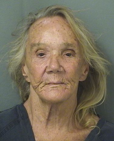  MARGARET CAROL CUMMINGS Results from Palm Beach County Florida for  MARGARET CAROL CUMMINGS