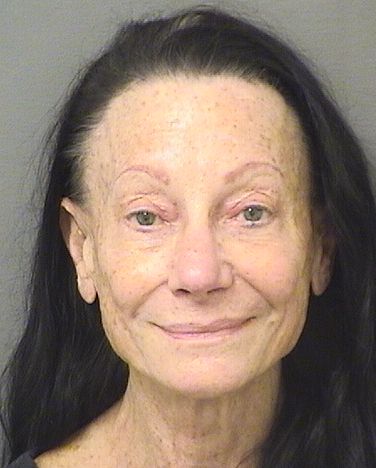  ANN D PERLMAN Results from Palm Beach County Florida for  ANN D PERLMAN